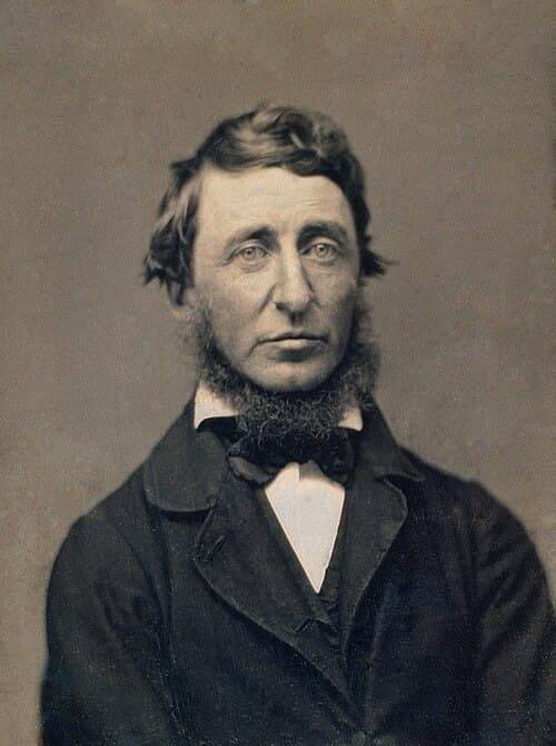 Henry David Thoreau profile image